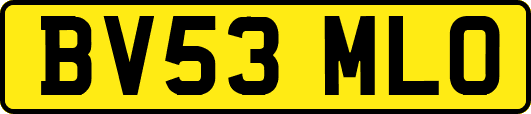 BV53MLO