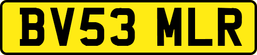 BV53MLR
