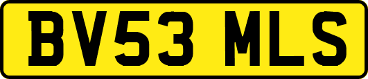 BV53MLS