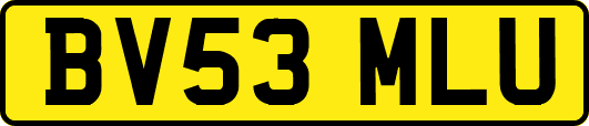 BV53MLU