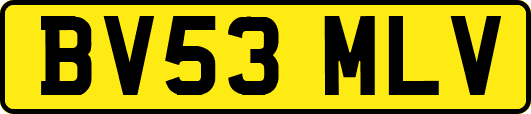 BV53MLV