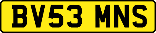 BV53MNS