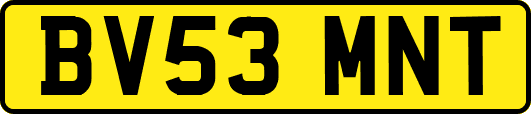 BV53MNT