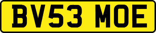 BV53MOE
