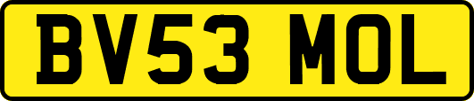 BV53MOL
