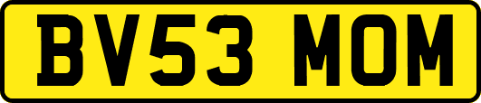 BV53MOM