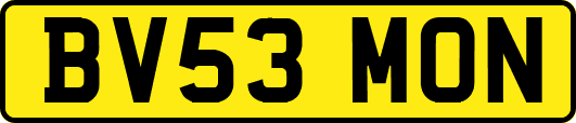 BV53MON