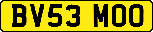 BV53MOO