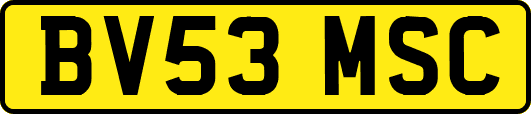 BV53MSC