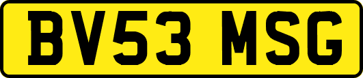 BV53MSG