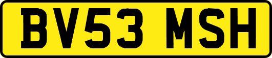 BV53MSH