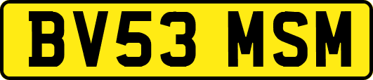BV53MSM