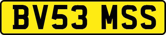 BV53MSS