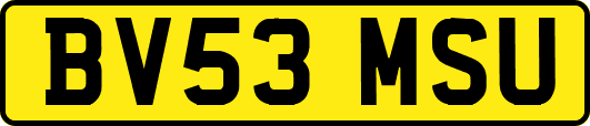 BV53MSU