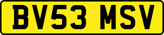 BV53MSV