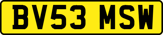 BV53MSW
