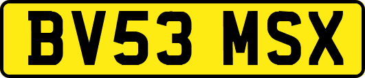 BV53MSX