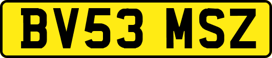 BV53MSZ