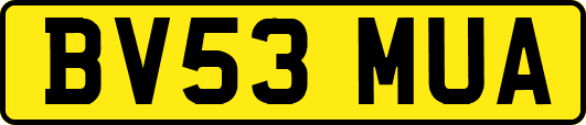 BV53MUA