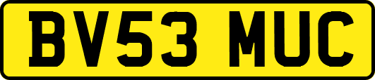 BV53MUC
