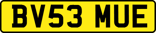 BV53MUE