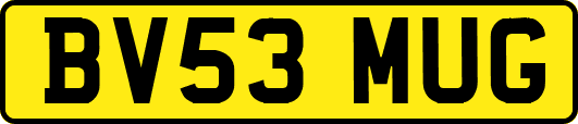 BV53MUG