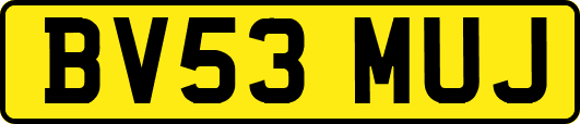 BV53MUJ