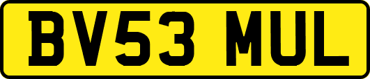 BV53MUL