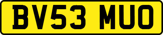 BV53MUO