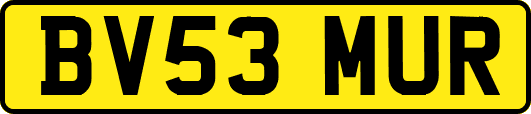 BV53MUR