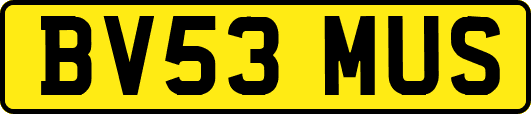 BV53MUS
