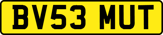 BV53MUT