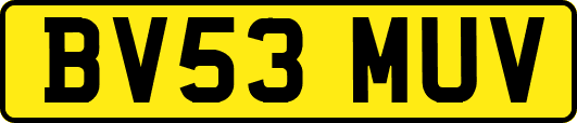 BV53MUV