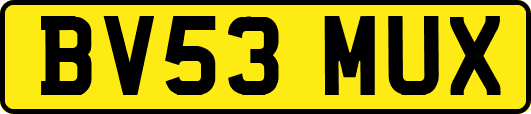 BV53MUX