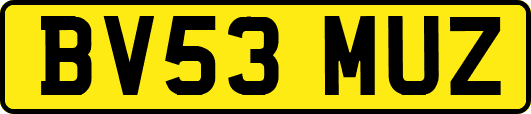 BV53MUZ