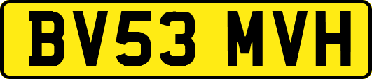 BV53MVH