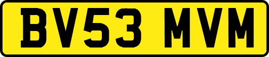 BV53MVM