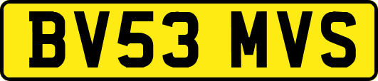 BV53MVS