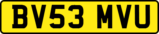 BV53MVU