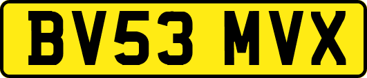 BV53MVX