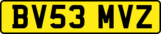 BV53MVZ
