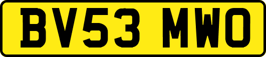 BV53MWO