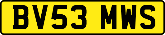 BV53MWS