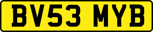 BV53MYB