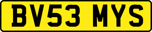 BV53MYS