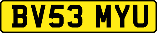 BV53MYU