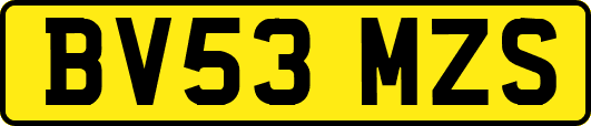 BV53MZS