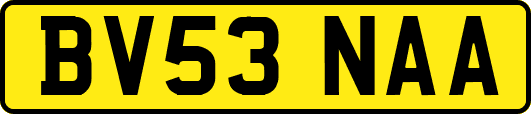 BV53NAA