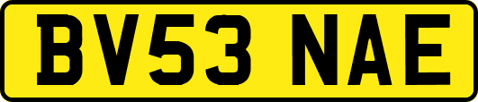 BV53NAE