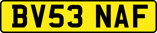 BV53NAF
